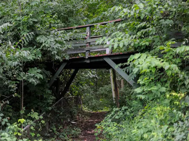 Abandoned Prehistoric Forest & Amusement Park in Michigan