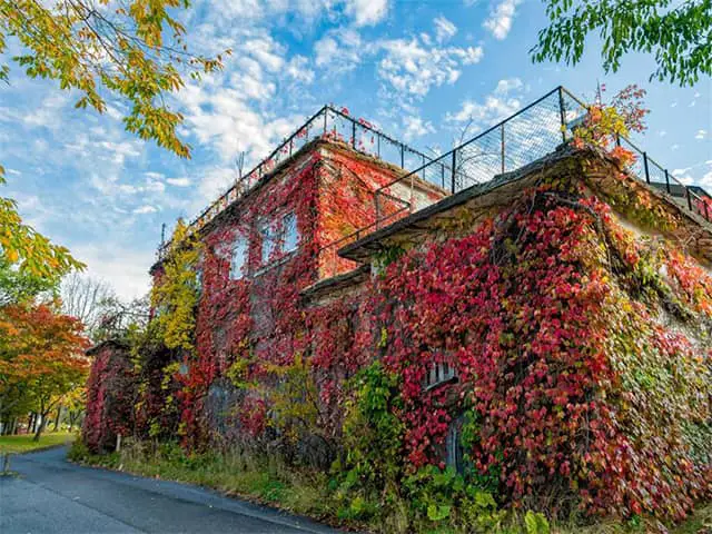 Scariest Abandoned Homes in the World