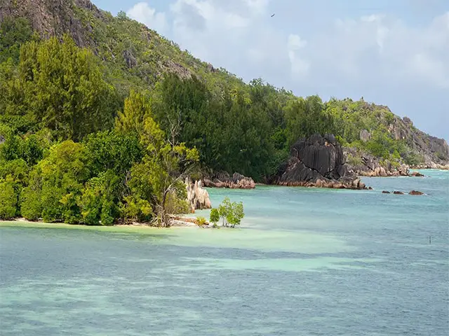 Brendon Grimshaw An 87 Years Old Real life Robinson Crusoe