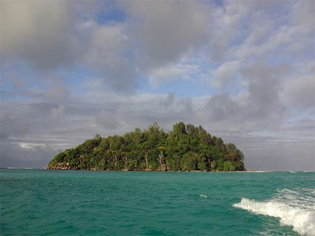 Brendon Grimshaw An 87 Years Old Real life Robinson Crusoe