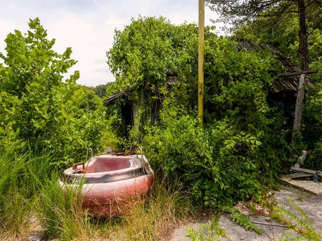 Dogpatch Theme Park USA is Abandoned Will be Auctioned Off