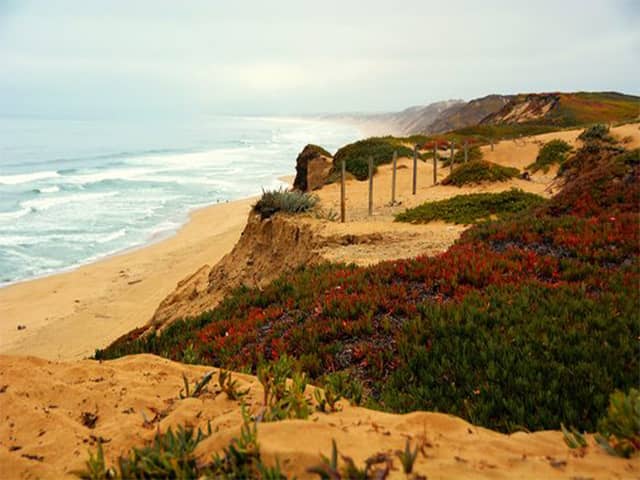 Fort Ord An Ex-Army Base on the California Coast