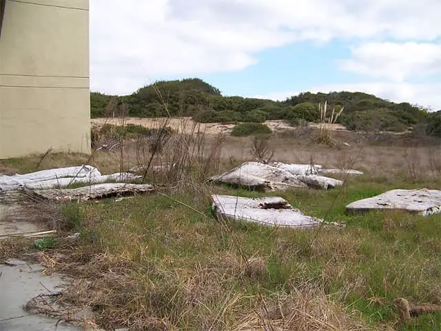 Fort Ord An Ex-Army Base on the California Coast